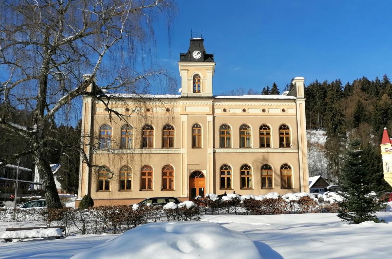 Ferienwohnung Pod Strechou Svoboda nad Úpou Exterior foto