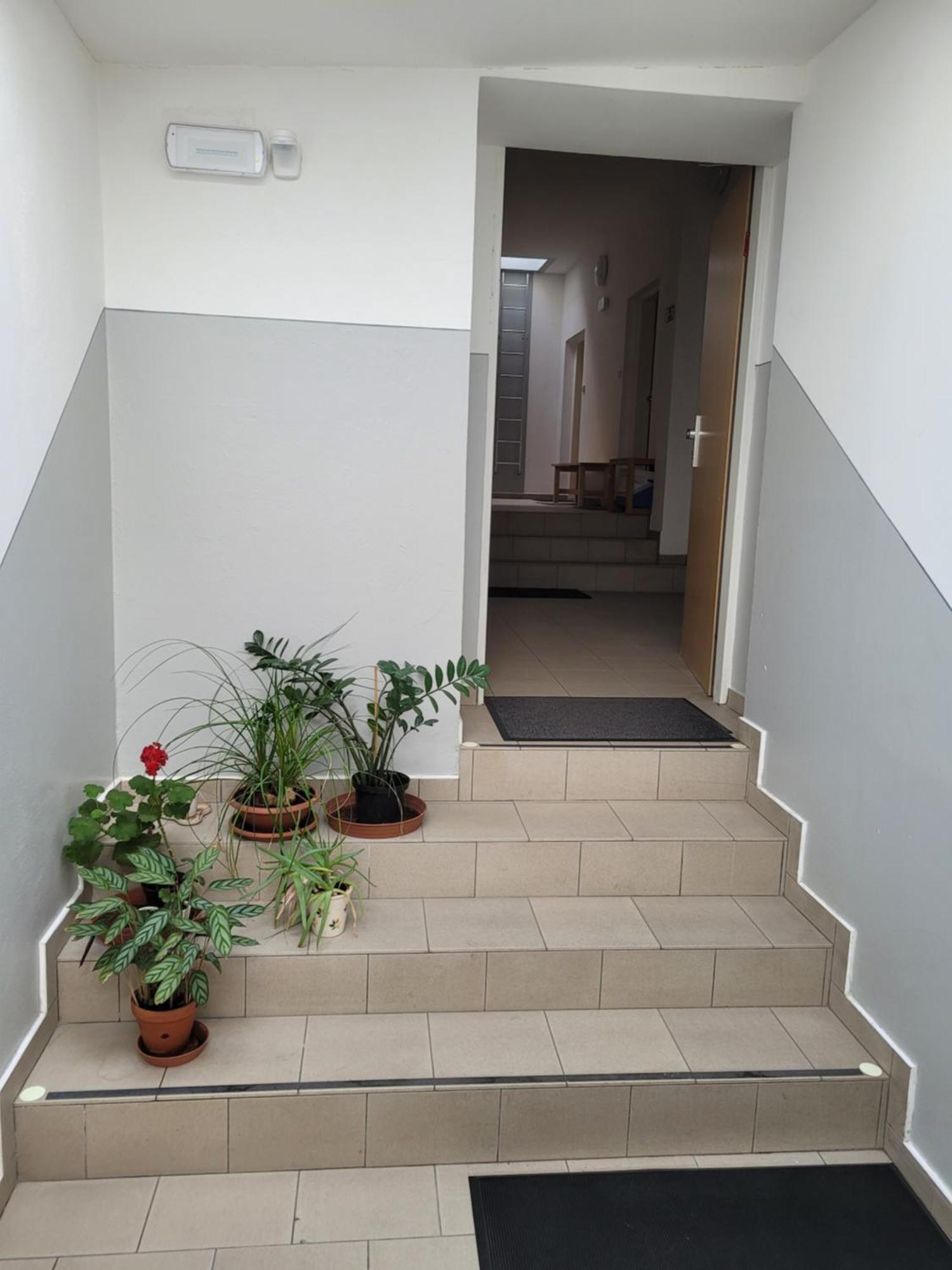 Ferienwohnung Pod Strechou Svoboda nad Úpou Exterior foto